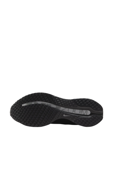 Nike Pegasus Premium - Black/Metallic Silver