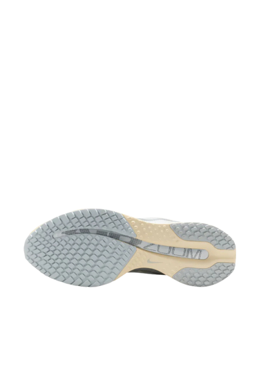 Nike Pegasus Premium - Platinum Tint / Reflective Silver