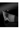 Oakley Kato - F: Polished Black / L: Prizm Black