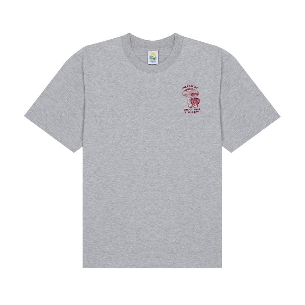 Hikerdelic 5 a Day T-Shirt in Grey Marl