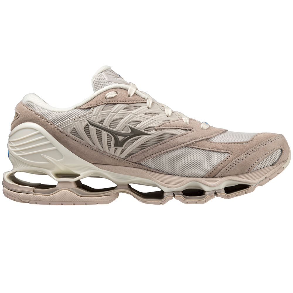 Mizuno wave prophecy 6 silver hotsell